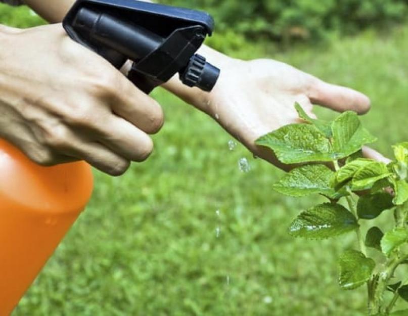 Способы защиты растений от вредителей. Химическая защита растений от вредителей и болезней