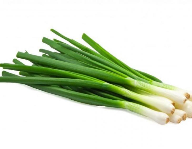 Храним зеленый лук в холодильнике долго — Нюансы и способы. Как и где хранить зеленый лук