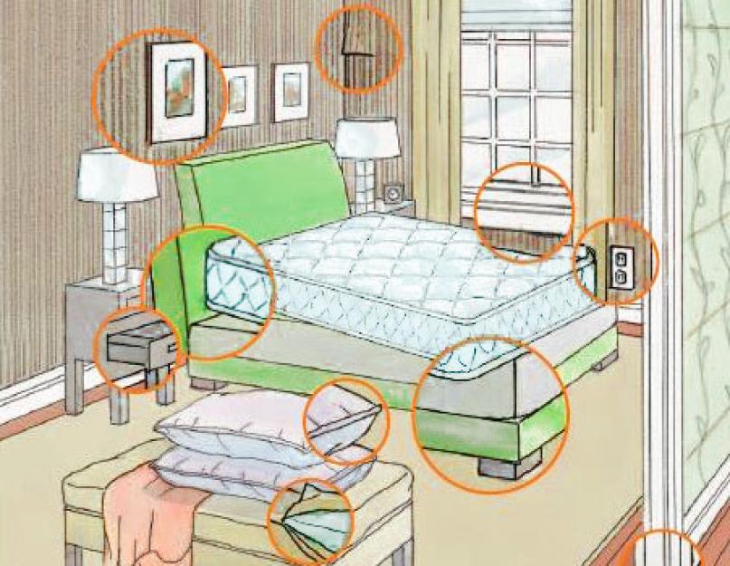 От чего появляются постельные клопы в квартире? Откуда берутся клопы и как с ними бороться. 