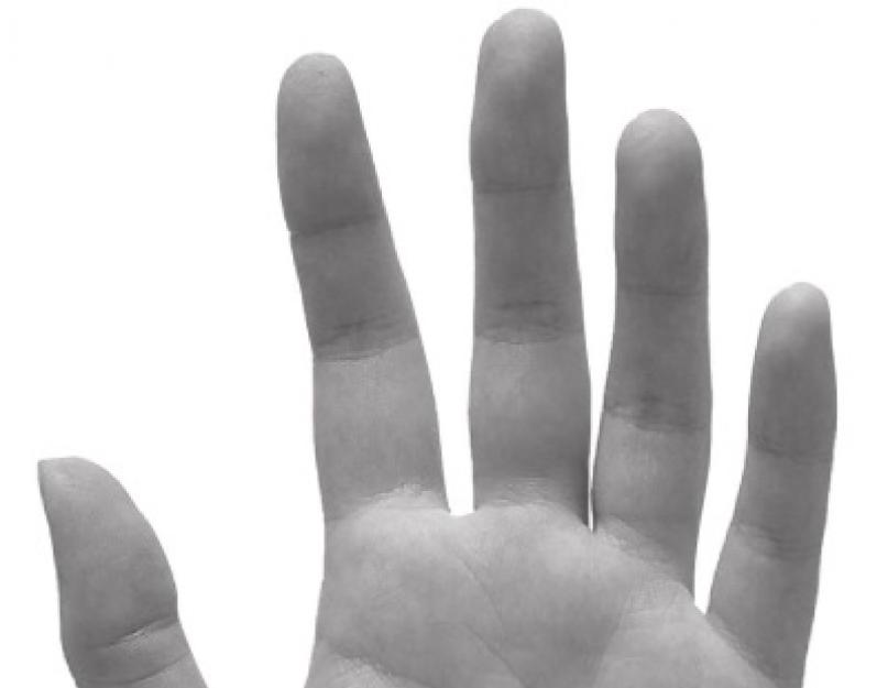 Чем говорят маленькие руки мужчины. Длина пальцев рук: значение в психологии