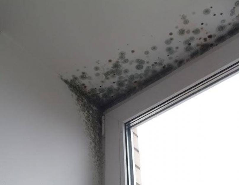 Что делать если окна запотевают. Почему потеют пластиковые окна в квартире