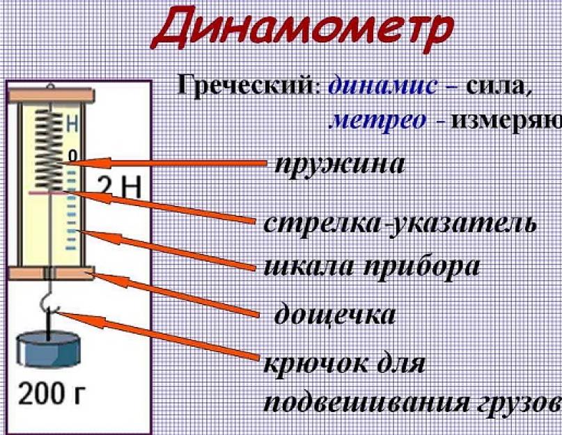 Что измеряет динамометр в физике